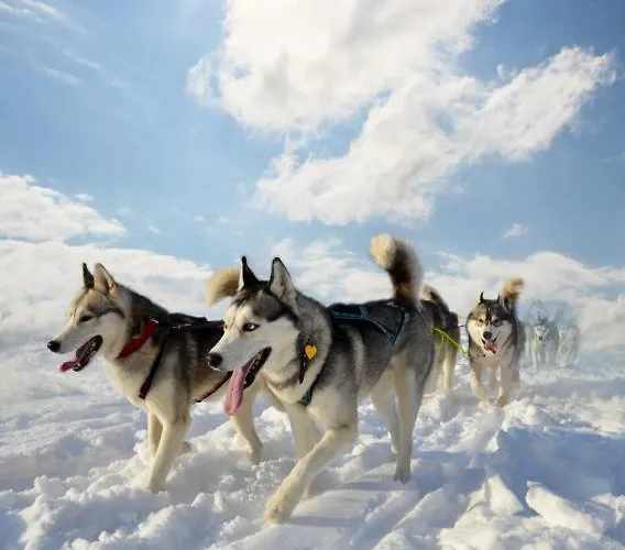 Le Refuge, 2050m La Plagne, Luxury